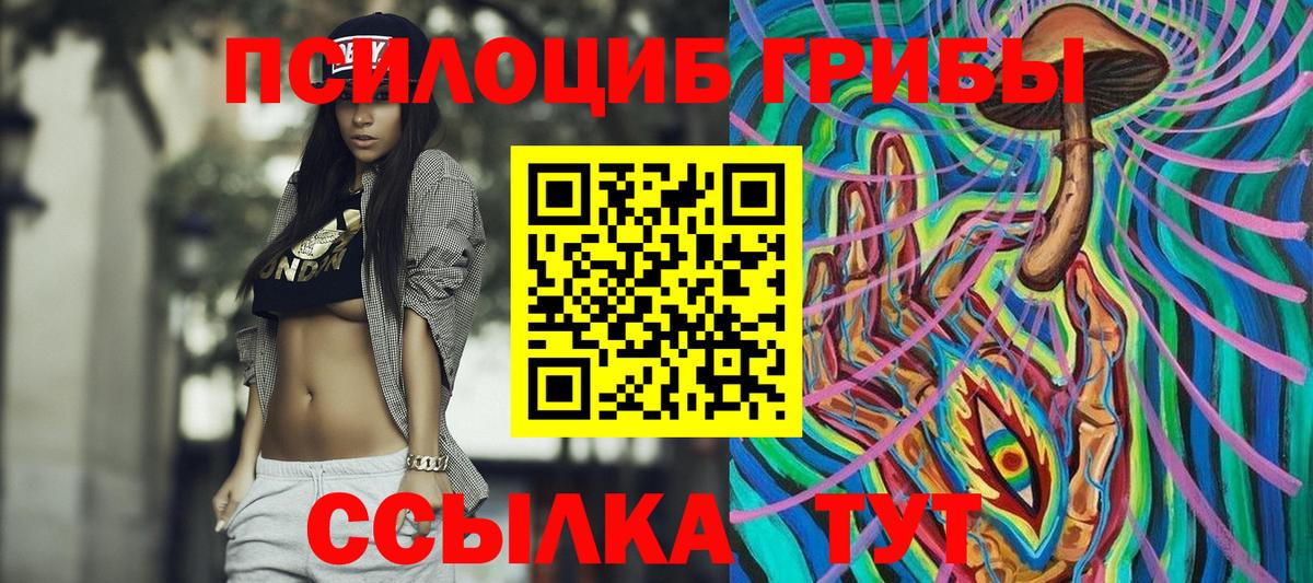 Псилоцибиновые грибы Psilocybine cubensis Белебей